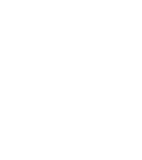 RP Fin Group Logo